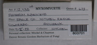 Image Associated With the Occurence